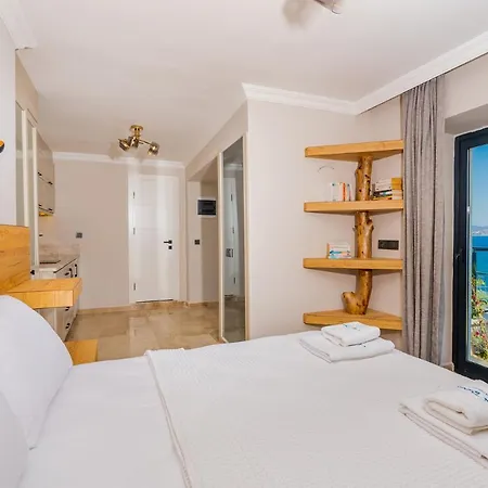 Altay Villa *