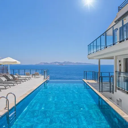 Altay Villa *